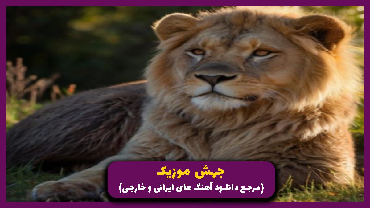 دانلود آهنگ خانومی کن و صبر کن واسم از شایع